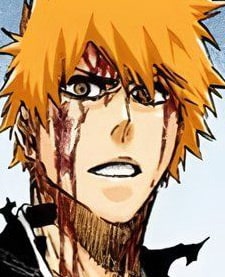 bleach-ichigo-pfp-100