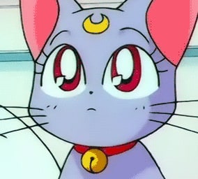 cat-neko-avatars-pfp-29
