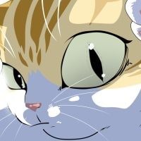 cat-neko-avatars-pfp-66