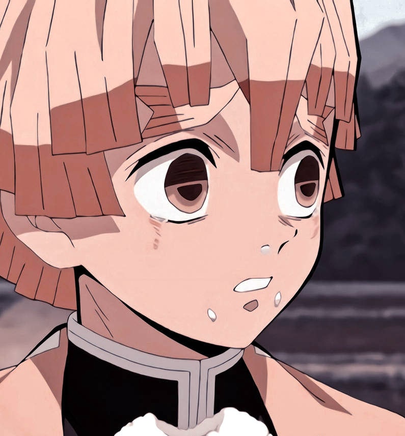 demon-slayer-kimetsu-no-yaiba-14
