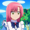 hayate-the-combat-butler-1205