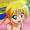 hayate-the-combat-butler-2318