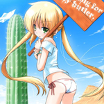 hayate-the-combat-butler-2492