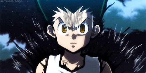 hunter-hunter-5