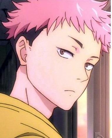jujutsu-kaisen-201
