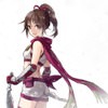 koei-warriors-series-100