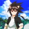 negima-31