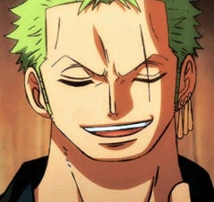 One Piece Roronoa Zoro