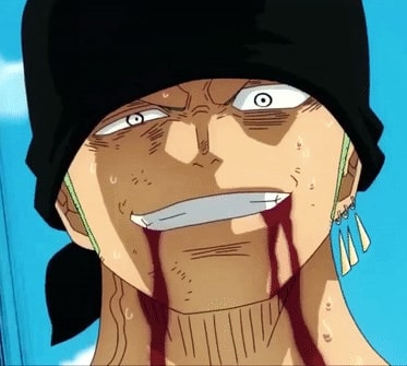 one-piece-roronoa-zoro-44