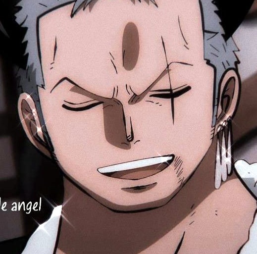 one-piece-roronoa-zoro-54