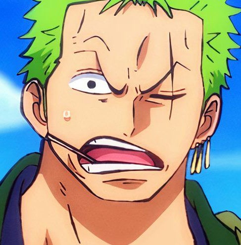one-piece-roronoa-zoro-78