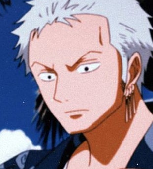 one-piece-roronoa-zoro-83