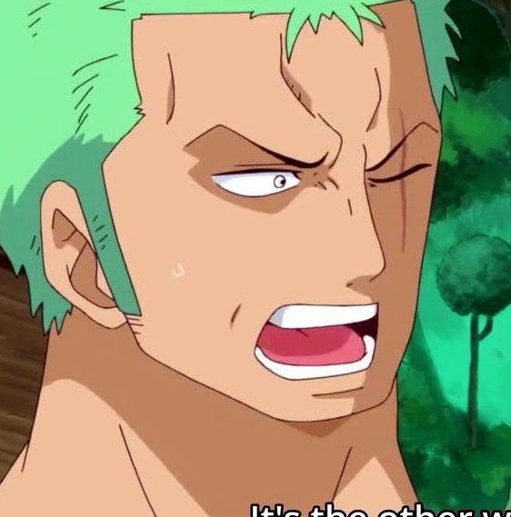 one-piece-roronoa-zoro-90