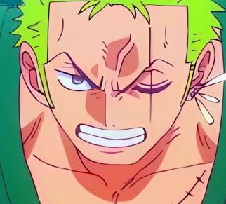 one-piece-roronoa-zoro-95