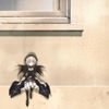 rozen-maiden-88