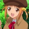 shugo-chara-143