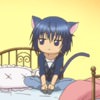 shugo-chara-239
