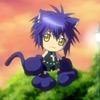 shugo-chara-246