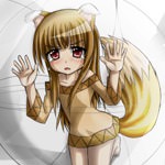 spice-and-wolf-4
