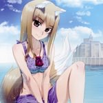 spice-and-wolf-5