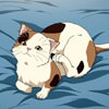the-melancholy-of-haruhi-suzumiya-161