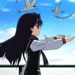 vividred-operation-145