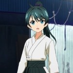 vividred-operation-293