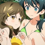vividred-operation-356