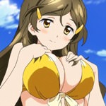 vividred-operation-69