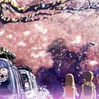 5cm-cherry-blossoms