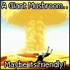 bozy-mushroom