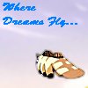 kasumi-fly
