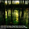 nina-swamp