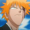 bleach-406