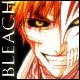 th_Bleach-110