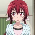 castle-town-dandelion-akane-08b
