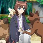 days-dog-brioche-22b