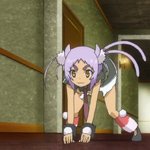 days-dog-catburglar-05b