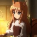 days-dog-clarifier-08b
