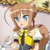 days-dog-couver-05