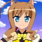 days-dog-couver-06b