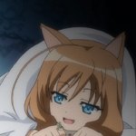 days-dog-couver-16b