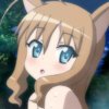 days-dog-couver-21
