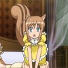 days-dog-couver-22