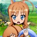 days-dog-couver-23b