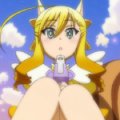 days-dog-couver-32b