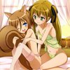 days-dog-couver-rebecca-01