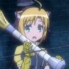 days-dog-jaune-08