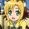 days-dog-jaune-09