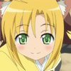 days-dog-jaune-14